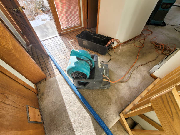 Best Water damage cleanup near me  in Riviera Beach, FL