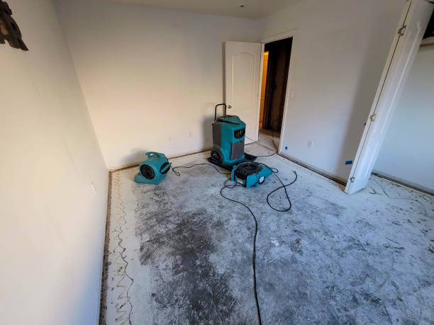 Best Carpet water damage restoration  in Riviera Beach, FL