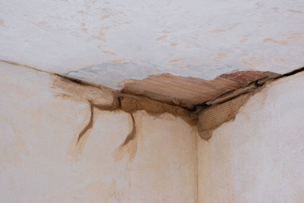 Best Commercial water damage restoration  in Riviera Beach, FL