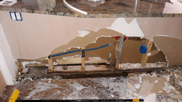 Best Flooded house restoration  in Riviera Beach, FL
