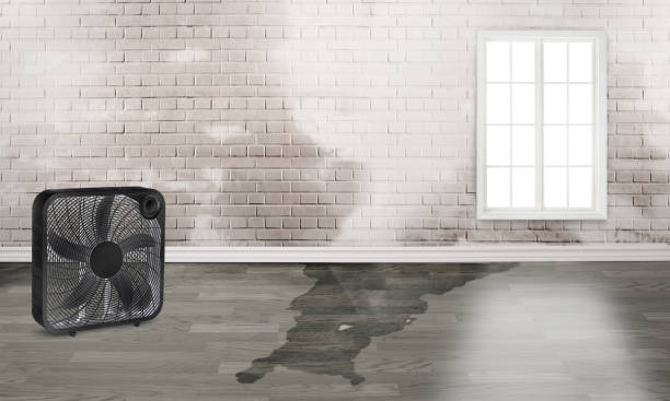 Best Emergency water damage restoration  in Riviera Beach, FL