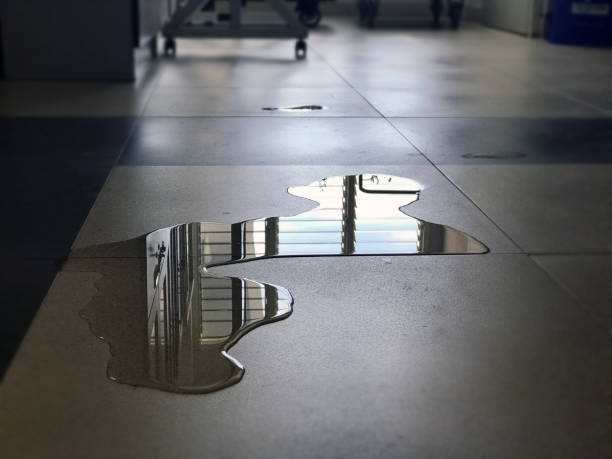 Best 24-hour water damage restoration  in Riviera Beach, FL