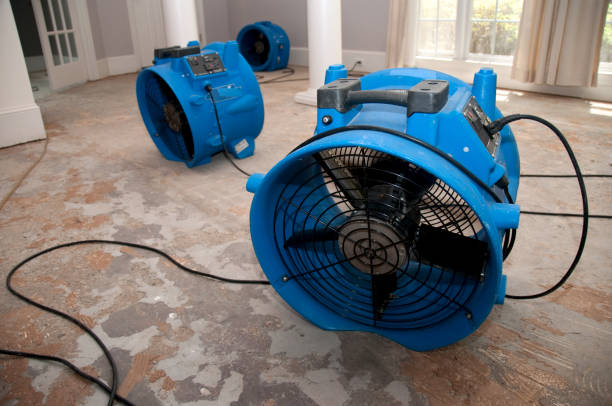  Riviera Beach, FL Water damage restoration Pros