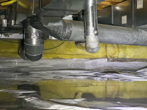 Best Flood damage cleanup  in Riviera Beach, FL